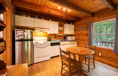 Sautee Nacoochee Cabin | Love Bird - 3rd Night Free! See Details Below