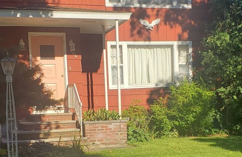 East Syracuse Apartment | Lovely 2 Bedroom Upper Apartment. Centrally located. Only min to RT 690 and 81.