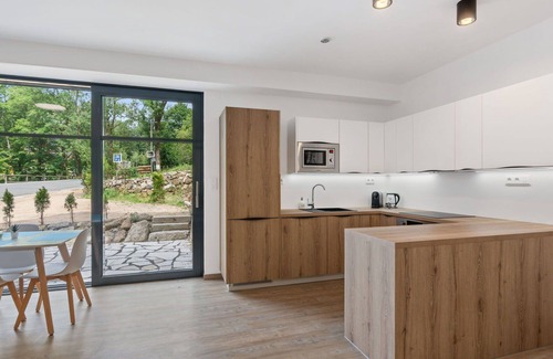 Janov nad Nisou Apartment | Lovely apartment for 4 guests with WIFI, TV, terrace and parking