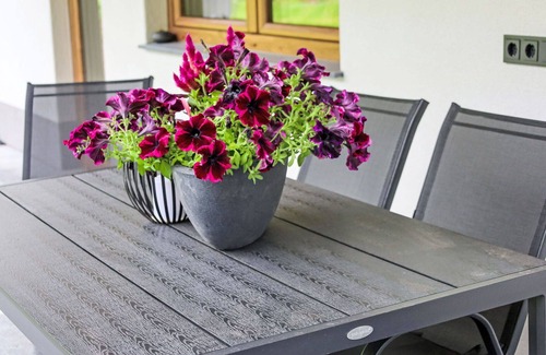 Leogang Apartment | Lovely apartment for 4 people with WIFI, TV, terrace, pets allowed and panoramic view