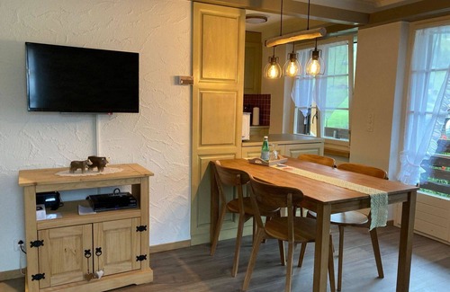 Ruedisbach Apartment | Lovely apartment for 4 people with WIFI, TV, balcony and pets allowed
