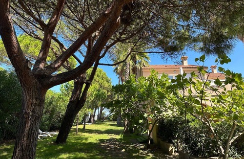 Pineto Apartment | Lovely apartment for 6 guests with WIFI, A/C, TV, terrace and pets allowed