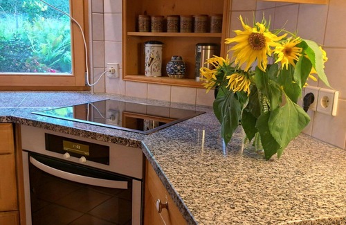 Maishofen Apartment | Lovely apartment for 5 guests with WIFI, TV, patio and pets allowed