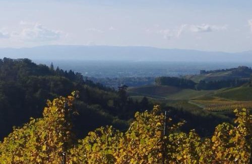 Oberkirch Apartment | Lovely apartment in Baden-Württemberg