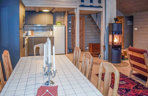 Hol Municipality House | Lovely home in Geilo with WiFi