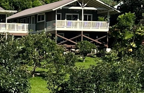 Holualoa Cottage | Lovely Ocean View Orchard House above Kona