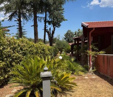 Cassano delle Murge Apartment | Luci della Murgia - Villa