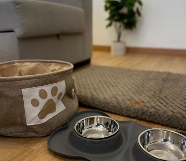Lugo Apartment | Lucus Urban Centre
