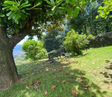 Mos House | Lugar do Pombal