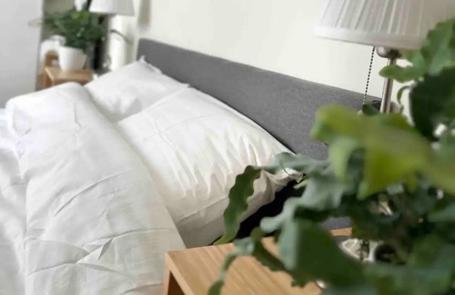 Duivelshoek Apartment | Luminary Quills