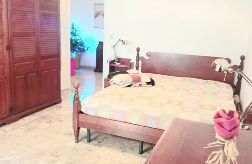 Vanchiglietta Apartment | LUNGO PO-CENTRO is 2 KM FROM THE CENTER OF TURIN A FEW STEPS FROM NATURE.