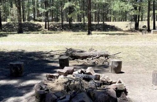 Alpine Apartment | Luxe cabin getaway in the tall pines of Alpine AZ