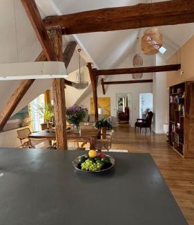 Tremsbuettel Apartment | Luxuriöses Loft mit schönem Blick