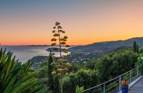 Le Rayol Apartment | Luxurious appartement with terrace- private pool