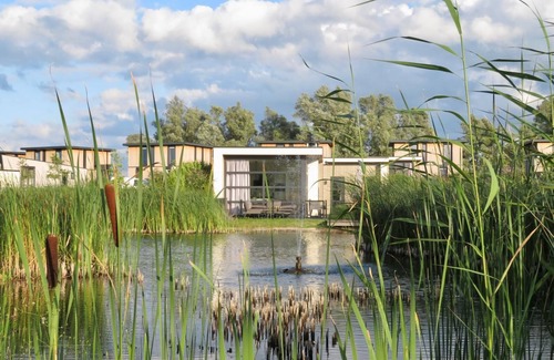 Olburgen House | Luxurious Chalet Waterlijn: your dream vacation on the IJssel! NEW: now with fence