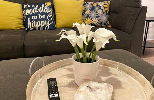 North Wales House | luxurious & Comfy / business and more