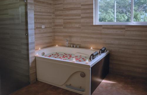 Pereira Villa | Luxurious Country House