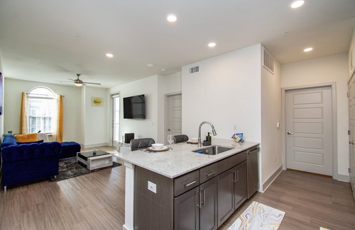Spring Apartment | Luxurious & Spacious 1BR
