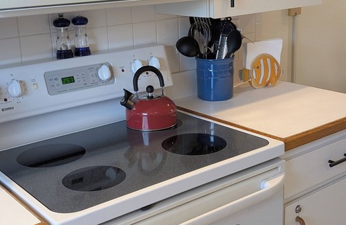 Lutz Condo | Luxury 1BR King Condo, Private Lanai, Pet-Friendly - Clothing Optional