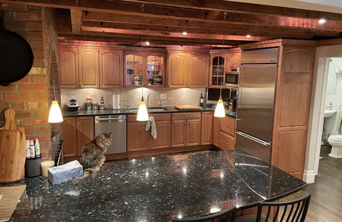 Shawmut Condo | Luxury 3 Br/2.5 Ba + Private Patio on one of Boston's Most Desirable Streets