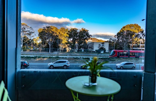 Turner Apartment | Luxury and Stylish Apt on NB Ave