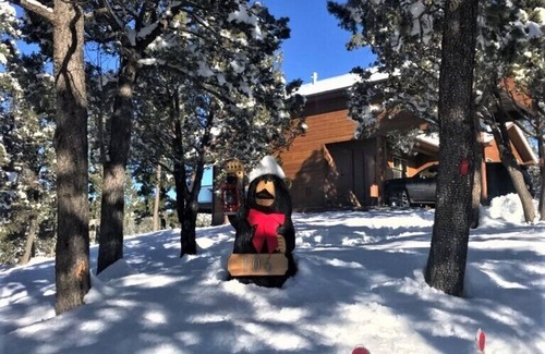 Ruidoso House | Luxury Cabin! Upper Canyon Lookout -Sierra Blanca view close to town
