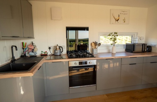 Newton Stewart Apartment | Luxury Cabin with Hot Tub & Hill Views