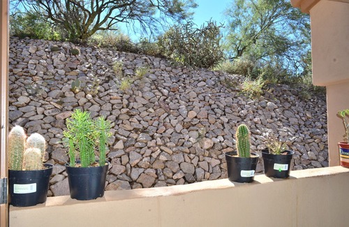 Tucson Condo | Luxury Condo in the Heart of Catalina Foothills, EV Charge Station