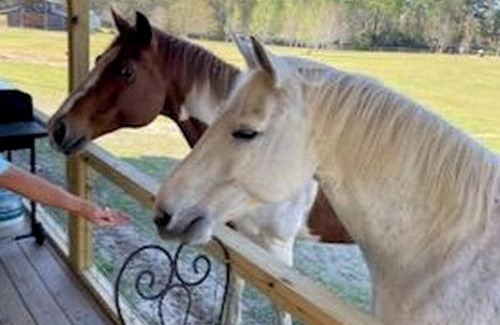 Georgia Coast House | Luxury Converted Silo Glamping Site for Romantic Weekends Away in Danville, Georgia