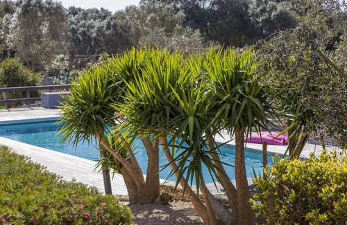 Bonifacio House | Luxury country mini-villa (T3) with heated pool L'Albitru
