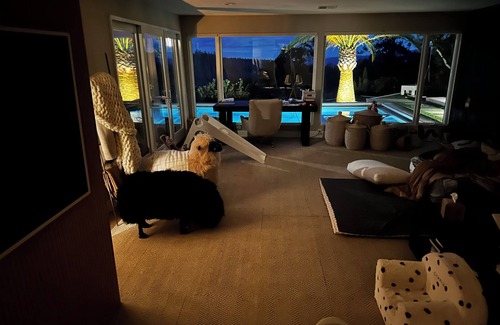 Angwin House | Luxury Designer Home with Pool, Spa, and Napa Valley Views