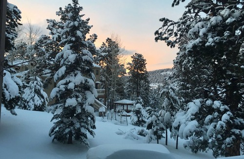 Tanoa and Hiwan House | Luxury Foothills of Denver- Hottub, Great Location 30 minutes - dwntwn or skiing