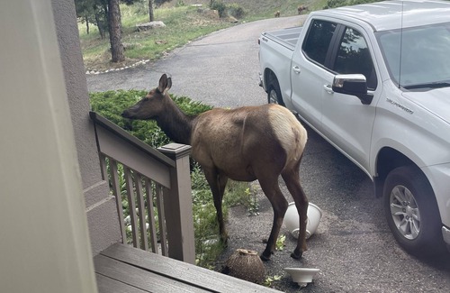 Tanoa and Hiwan House | Luxury Foothills of Denver- Hottub, Great Location 30 minutes - dwntwn or skiing