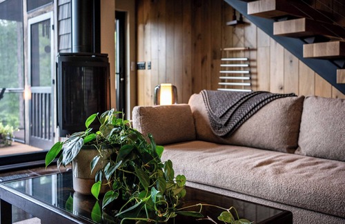 Brevard Cabin | Luxury Retreat by Gorges State Park: Trails, Waterfalls, Sauna & More