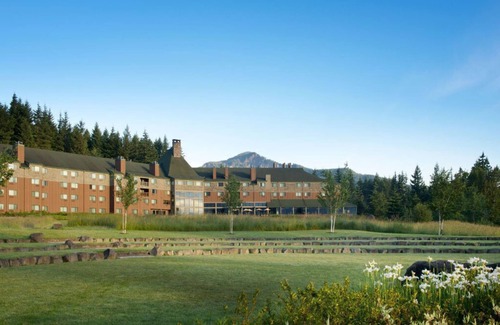 Stevenson Cabin | Luxury Tree Houses into the Heart of Washington