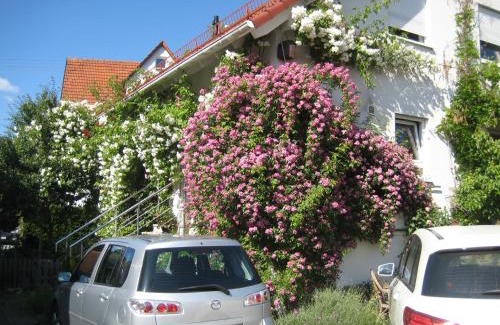 Pluderhausen House | Möbliertes Zimmer, Plüderhausen