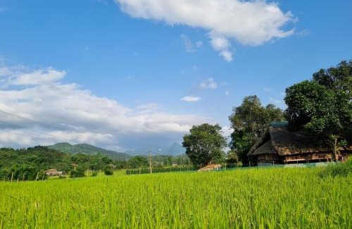 Ha Giang House | Mộc mạc nhà sàn