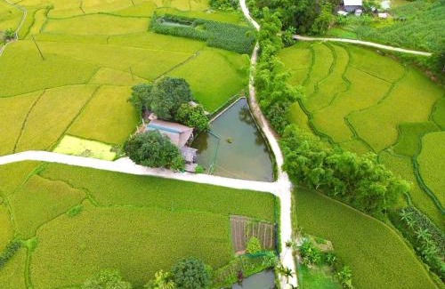 Ha Giang House | Mộc mạc nhà sàn