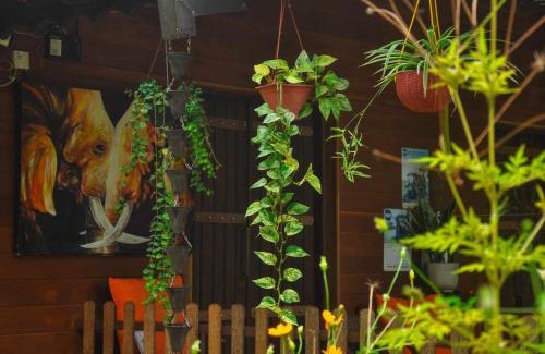 Inamaluwa Cabin | Machcha Lodge Sigiriya