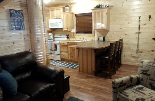 Island Park Cabin | "Madison River Cabin" HOT TUB ON DECK. 14 miles to Yellowstone! Easy Access.