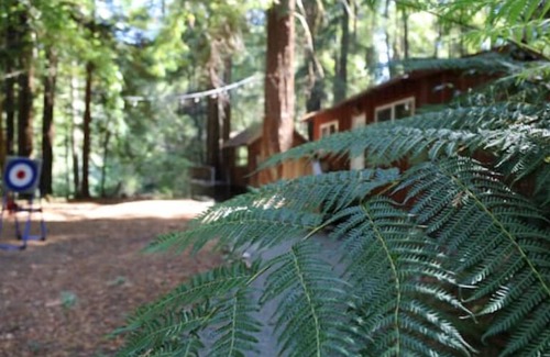 Garberville Cabin | "Madrone" Cabin In the Redwoods, River Access, WiFi nn