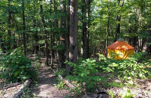 Coeymans Hollow Cabin | Magic Forest Farm Yurt