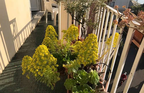 Rapallo Apartment | Magic in the Gulf of Tigullio - Rapallo