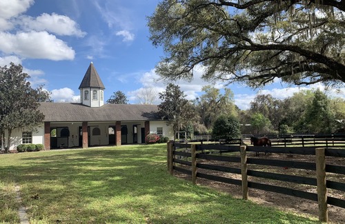 Summerfield House | Magnificent Thoroughbred Farm in the heart of Florida Horse Country. Stalls too!