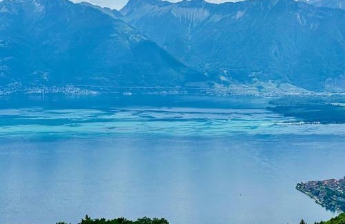 Thollon-les-Memises Ski Chalet | Magnifique Chalet Panorama ALPENGRUSS