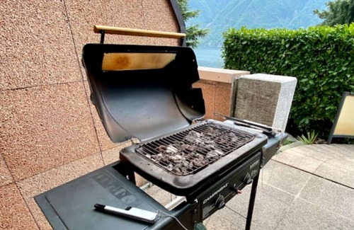 Castagnola Apartment | Magnolia Apt. 1 Front Lake, Castagnola (Lugano), Switzerland