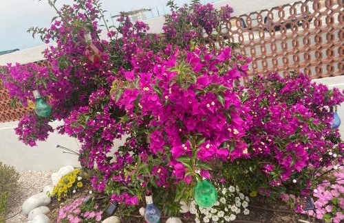 Montemarciano House | Maison Armandì