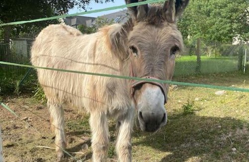 Erquy House | Maison calme familiale proche plages