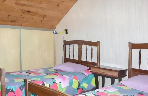 Barcelonnette House | Maison chaleureuse près des pistes de Barcelonnette - Cheminée