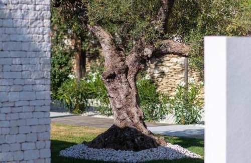 Bonifacio Villa | Maison d’exception dans les vignes à 5mn à pied de la plage Bonifacio